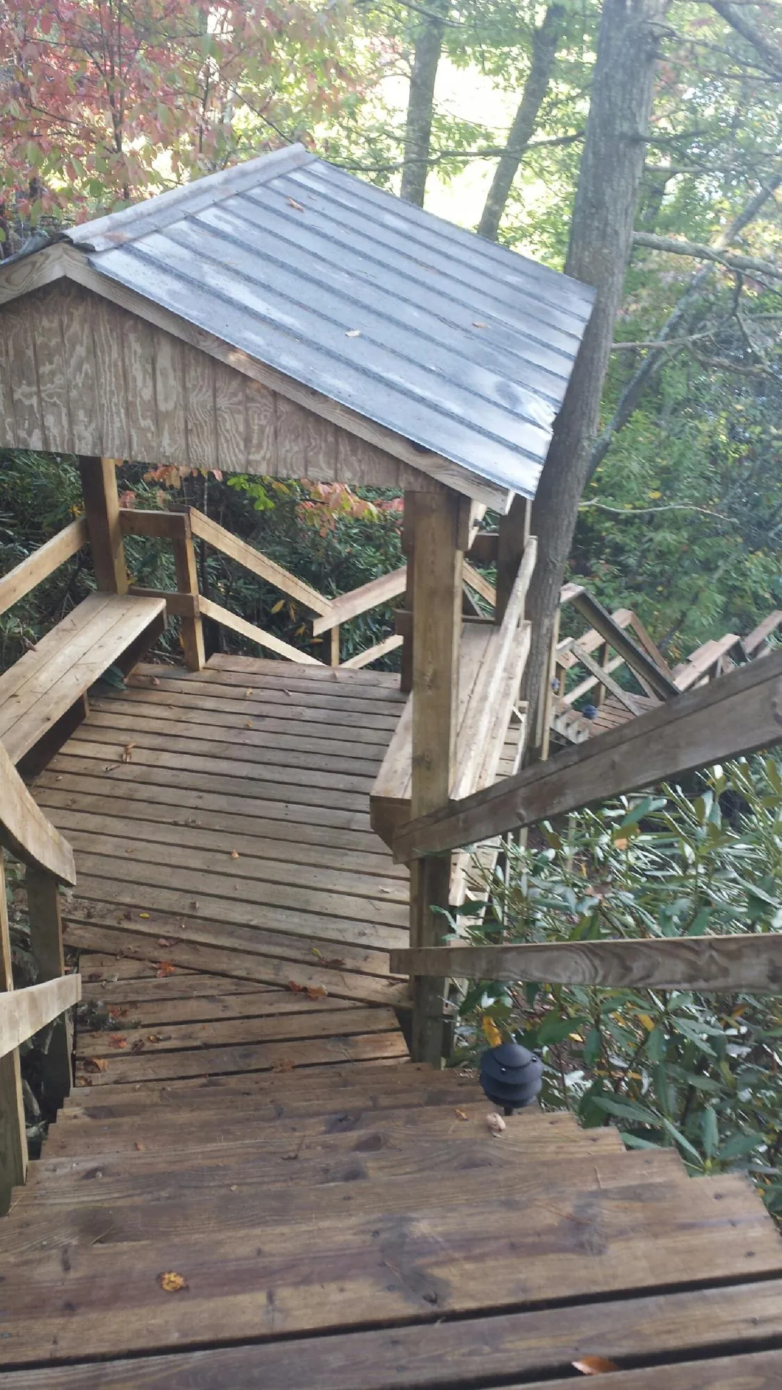 Metal roofed shelter over wooden steps on a wooded walkway — Skylight Repair & Installation work by our crew in Indian Rocks Beach